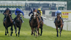 The Art of Race Riding