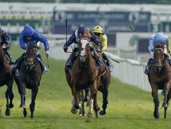 The Art of Race Riding