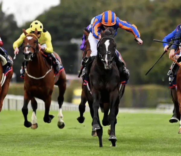 The Art of Designing Racing Silks