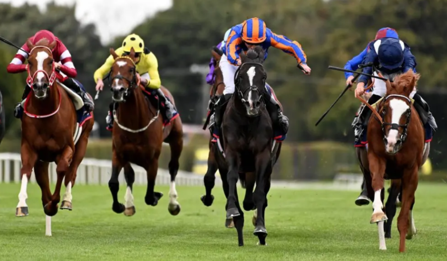 The Art of Designing Racing Silks