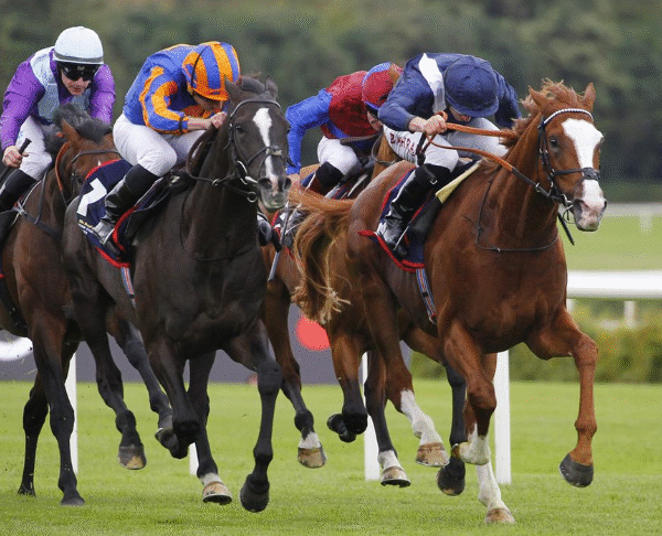 The Arabian Horse’s Influence on Modern Racing