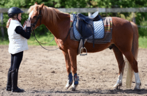 Tack and Equipment Safety Guidelines