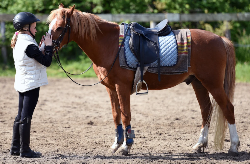Tack and Equipment Safety Guidelines