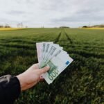 dale brisby ranch earnings details