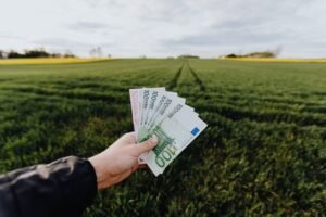 dale brisby ranch earnings details