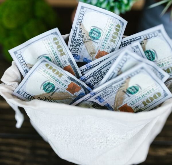 mike the scavenger net worth and income